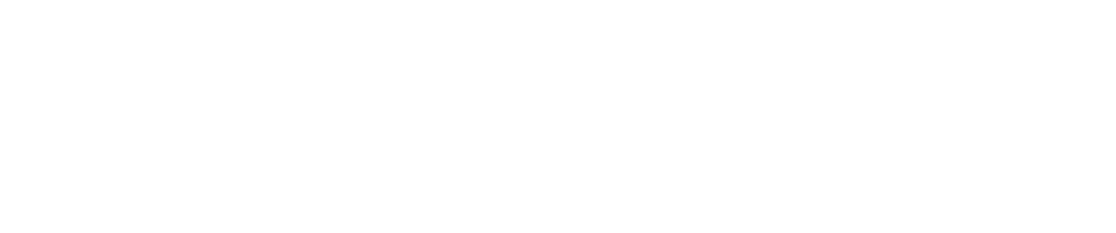 SHL Group Services