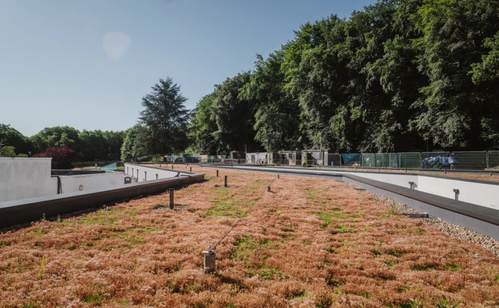 Flat roofing system with sustainable green roof installation